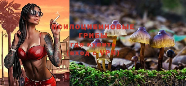 крисы Балабаново